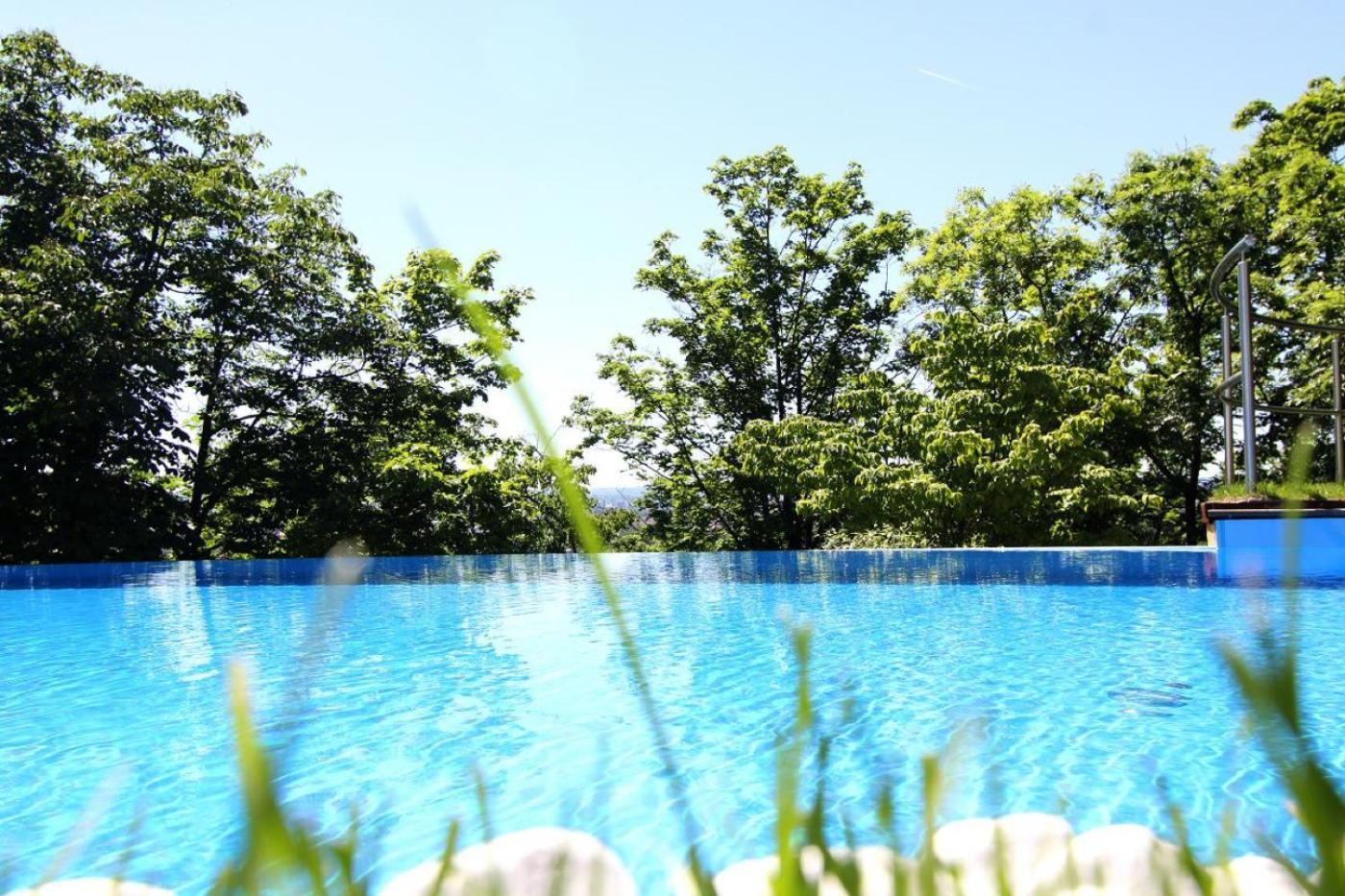 Villa Via Lapis - Panoramablick Ueber Dresden - Garten - Pool - Sauna - Luxus Екстер'єр фото